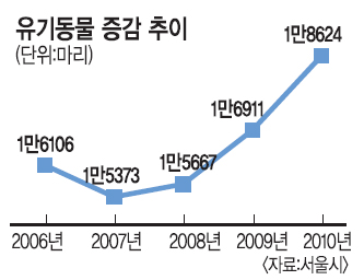 불황 때문에… 애완동물 더 버려졌다  