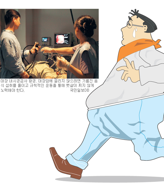 중성지방 150·허리 90이상 중년 대장선종 걸릴 확률 최고 2.3배  