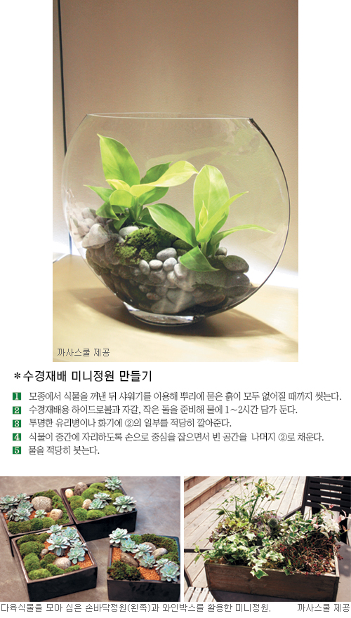 우리집에 봄을 초대했다, 소박하게… 작아서 더 예쁜 미니 정원 만들기  