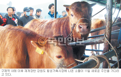 ǰ ѿ졯  Ⱦ ١    136  簳  