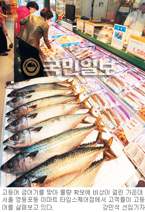 ‘국민 생선’ 웬 말… 고등어 귀해졌다  