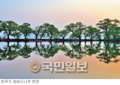 [޸- ݰ] ɡɵ ǰ  Ưִ    