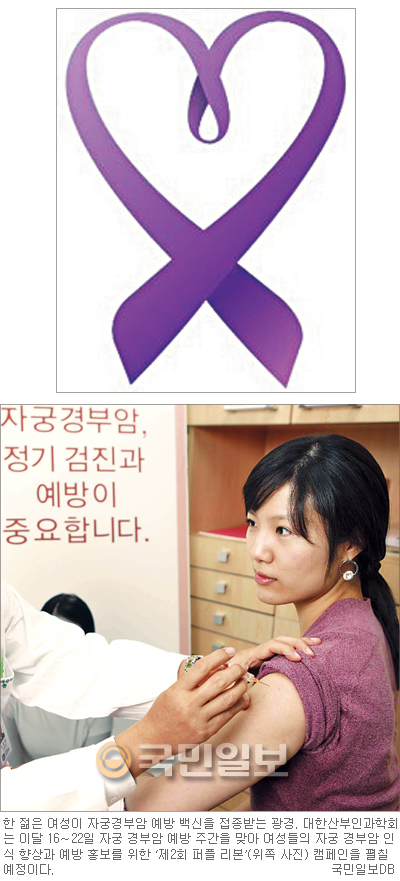 예방효과 좋은데 3회 접종료 45만∼60만원… 자궁경부암 무료접종 ‘비용 고민’  