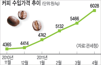 커피 마시기 겁난다… 4월 수입가 ㎏당 첫 6000원 돌파  