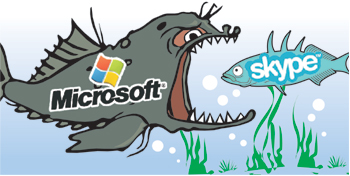  ͳݡŽ ǵȭ  MS, ͳ ȭȸ ī 85޷ μ  