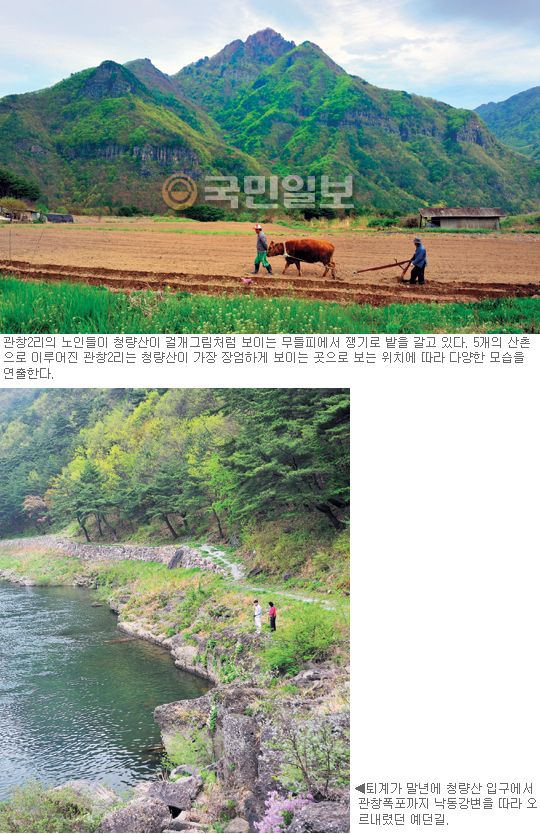 질박한 산길따라 흐뭇한 사과꽃 향기… 경북 봉화군 명호면 관창2리  