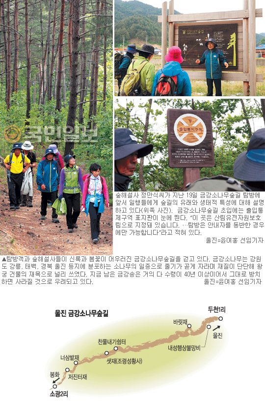 숲해설사가 동행하는 탐방예약제… 相生으로 가는 울진 ‘금강송’숲길  