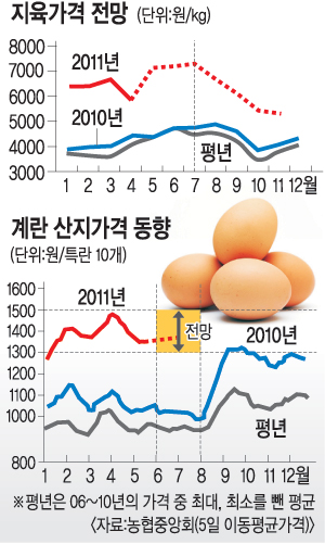 금겹살 이어 금계란… 8월까지 최고 1500원 달할듯  