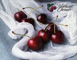 [ǰ] ڸ ϼȸ  ü   