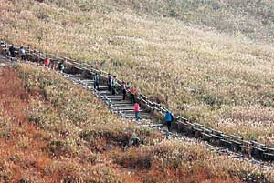  ϴ 桯 10 䡦 ع 1000m    