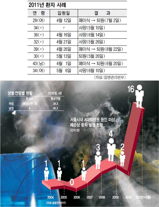 [  ] ȯ ȯڱ,  붧 ջ  47衱  