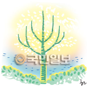 [ھ] Ȱ    