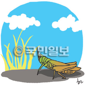 [ھ] ӹ   
