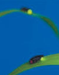  õ ݵ 뷮 ġ û  Żٲ  