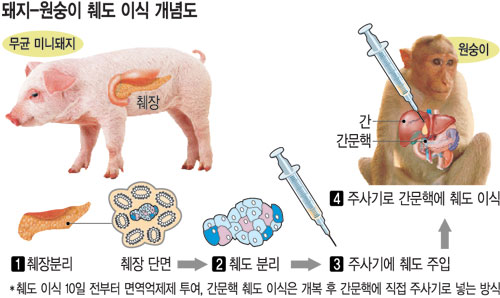  鵵, 索 ̿ ̽ġ 索 ġ ûȣ  