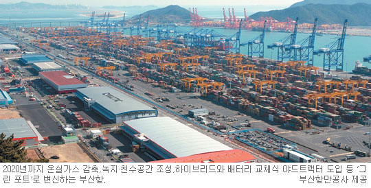 λ ׸ Ʈ ŵ쳭١ 2020 ½ǰ 30% ࡤ ̺긮   