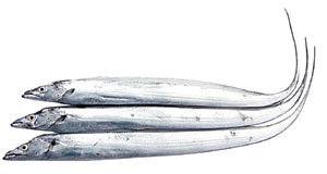 ġ  Ⱑ  1 19500  