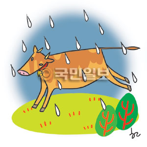 [ھ]  ٻ   