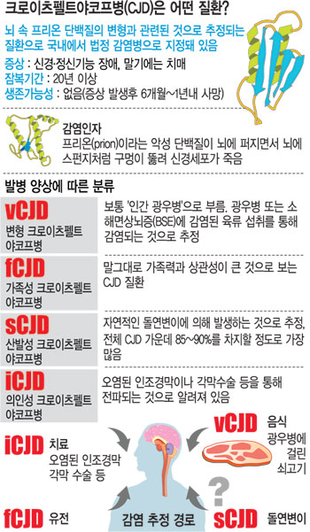 μ CJD ȯ  ù ȮΡ ΰ 캴   