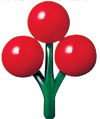[˸]  ̿   ȸȸ  2012  ķΡ  