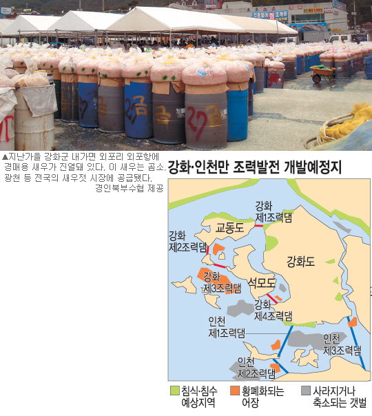 “국산 새우 황금어장 다 죽어요”… 강화 어민들, 인천만 조력발전소 계획에 ‘하소연’  