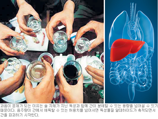 “잦은 음주, 당신의 간을 위협합니다”  