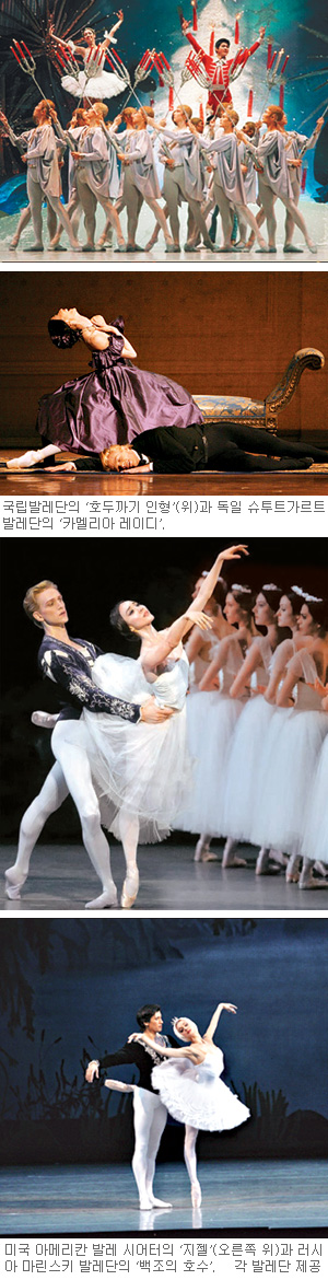 카멜리아 레이디·지젤·백조의 호수… 2012년 발레 무대 팬들은 설렌다  