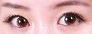 ʷʷ , 2012 ַ Ż Ʈ غ?  
