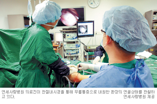 성체 줄기세포 요법, 관절염 치료 새장 열어  