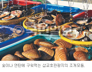[여행메모-‘당진 왜목마을’] 서해대교·호수·바다 어우러진 삽교호관광지도 유명  