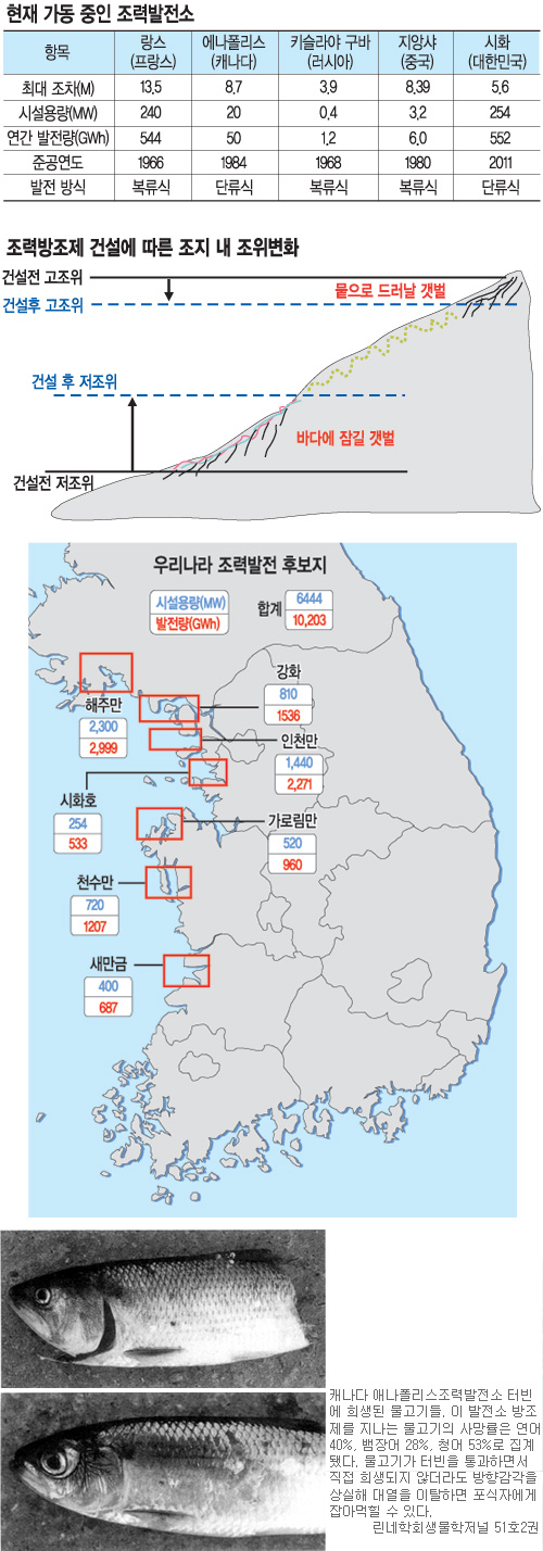 KEI 보고서 통해 본 조력발전소 건설 문제점… 사업자 위주 일방적 환경영향 평가로 불신 자초  