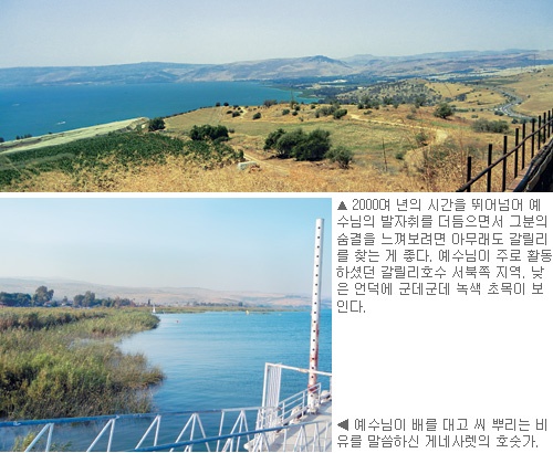 [  롯] (7)    