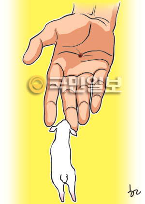 [ھ]  游 ̴  