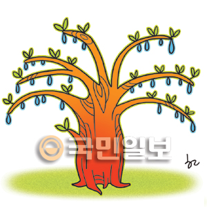 [겨자씨] 물방울 맺힌 가지  