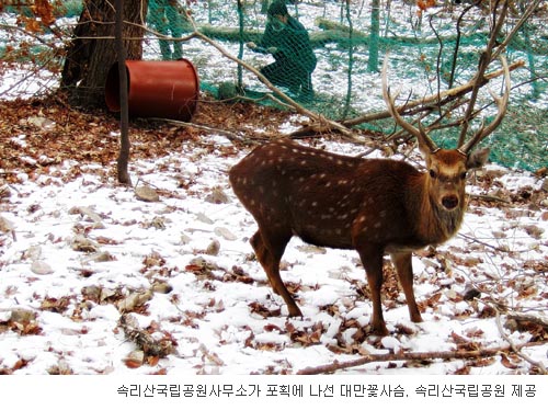 Ӹ걹 븸ɻ罿 Ӹ  