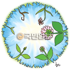 [ھ] ĳ  