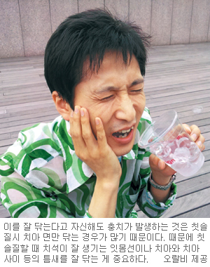 충치, 잇몸선·치아 사이만 잘 닦아도 막을 수 있다  