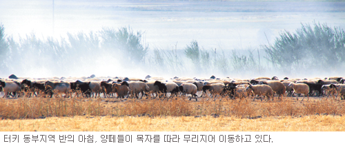 터키 선교 10년, 성서 속 풍광을 카메라에…  