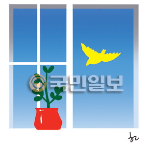 [ھ] ູ ãƿ   