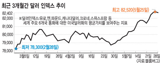 [유로존 위기 심화] 유로 사태에… 달러 ‘귀한 몸’  