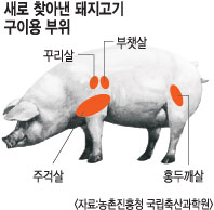  ٸ졯 弼䡦 ê졤ְƻ졤ȫα  㺸     