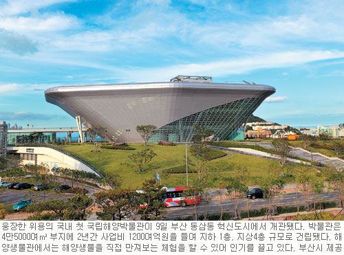 국내 첫 국립해양박물관 부산에 문 열었다  