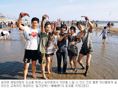 감자 캐고 산천어 잡고… 2012년 여름 휴가는 ‘농어촌 체험여행’  