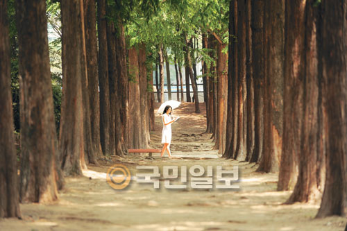 [포토 카페] 향기가 있는 풍경  