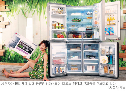  ִ 뷮  LG   Ǹ  