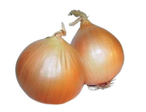 ĵ ȭ١   ߱ ,   ״´١ ݹ  