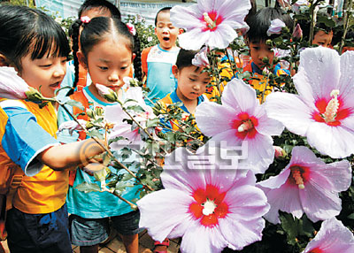 [알림] 무궁화 축제에 초대합니다… 8월 10∼15일 서울 코엑스  
