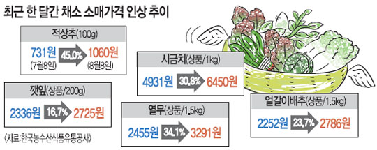폭염에 채소값 폭등, 시금치가 한달새…  