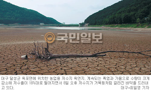 여름 가뭄 ‘비상’… 긴 봄가뭄 → 짧은 장마 → 비 없는 폭염 農心 속탄다  