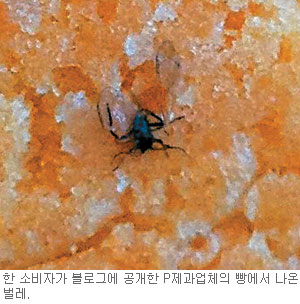 앗！ 유명제과점 빵서 벌레가… 매장선 “여름이라 어쩔 수 없다” 날씨 탓  